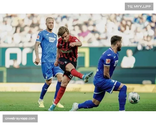 汉堡1-2霍芬海姆，多特蒙德4-0弗赖堡